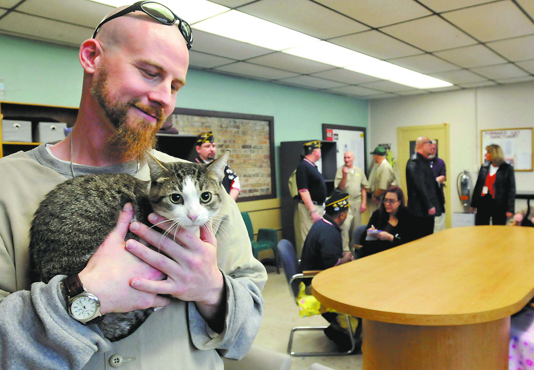 Cats in Prison: Do Prisons Allow Inmates to Have Cats?